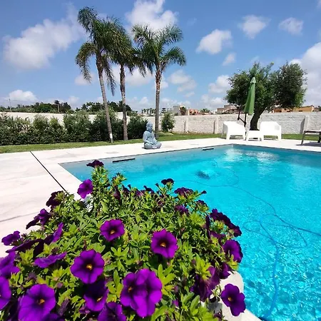 Suite12 * Marsala