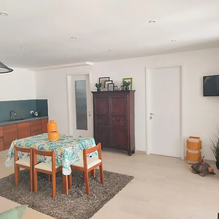 Suite12 招待所